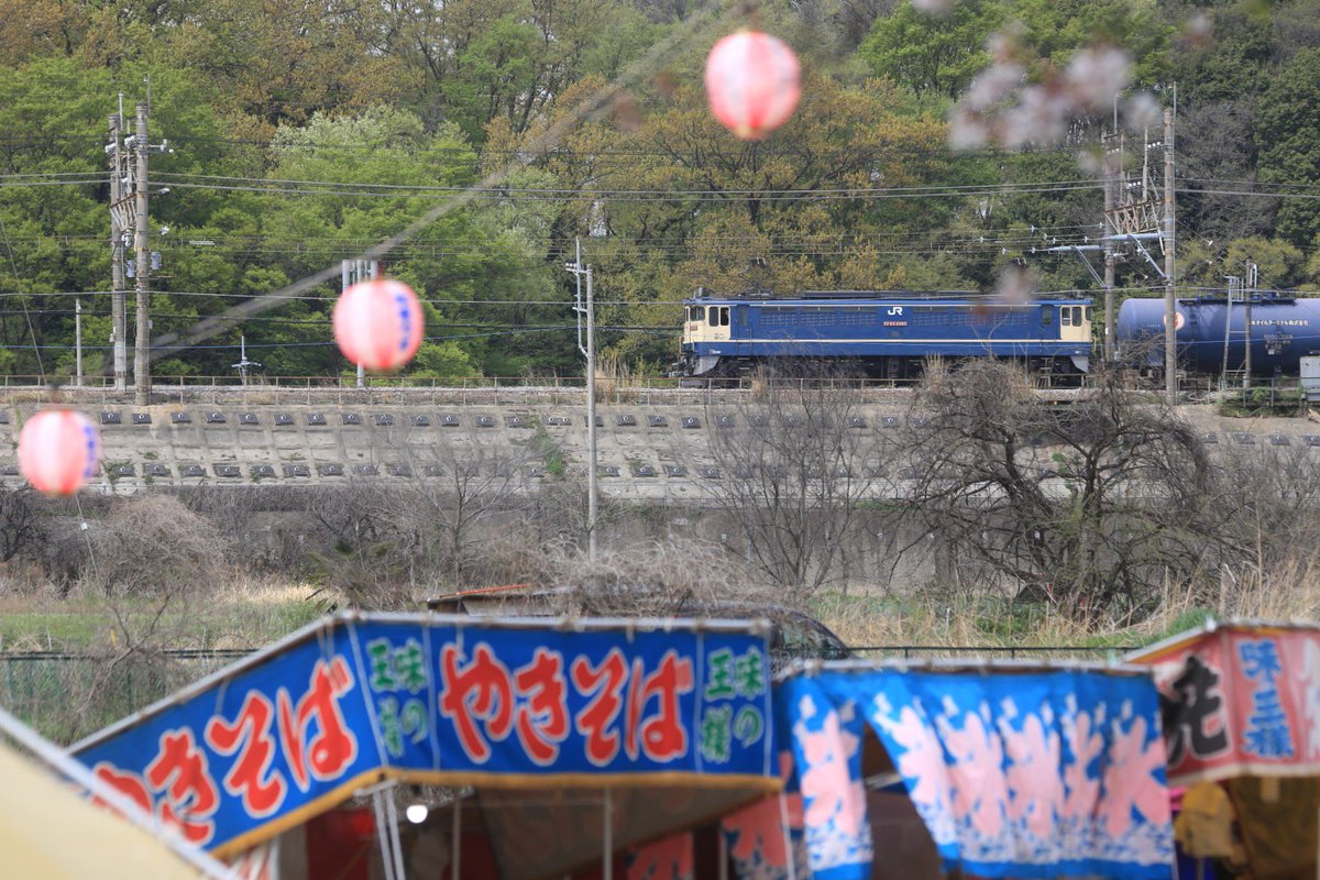 8764列車 EF65 2085 清瀬市 桜まつり 2026.4.6