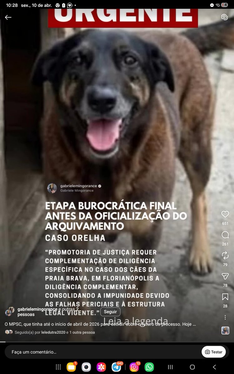 Enfermeiro do Orelha tweet media