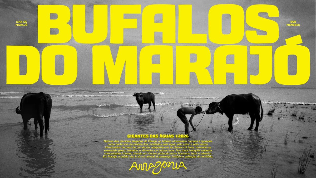 anabê ⊬ tweet media