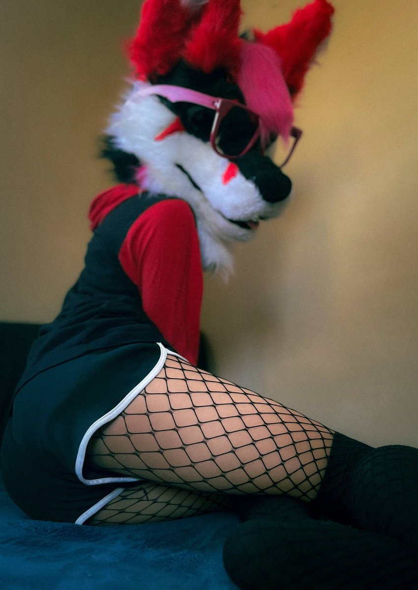 CashTheFox tweet media
