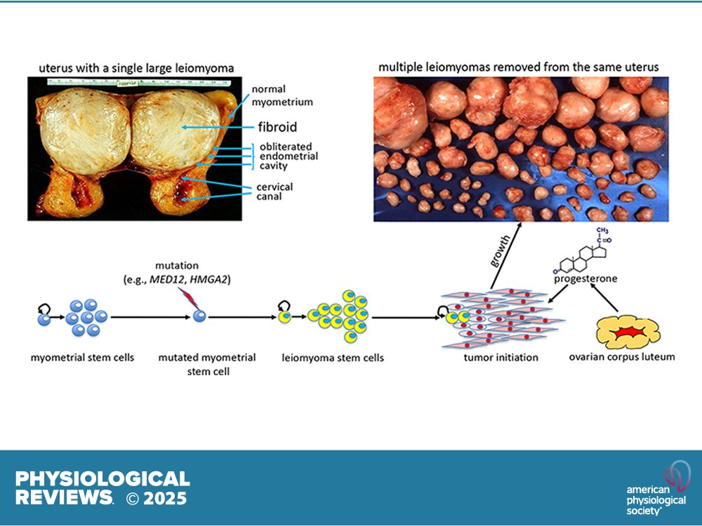 Physiological Reviews tweet media