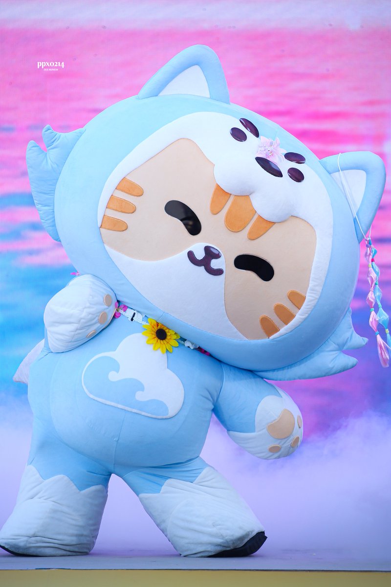 B A M 🍀 tweet media