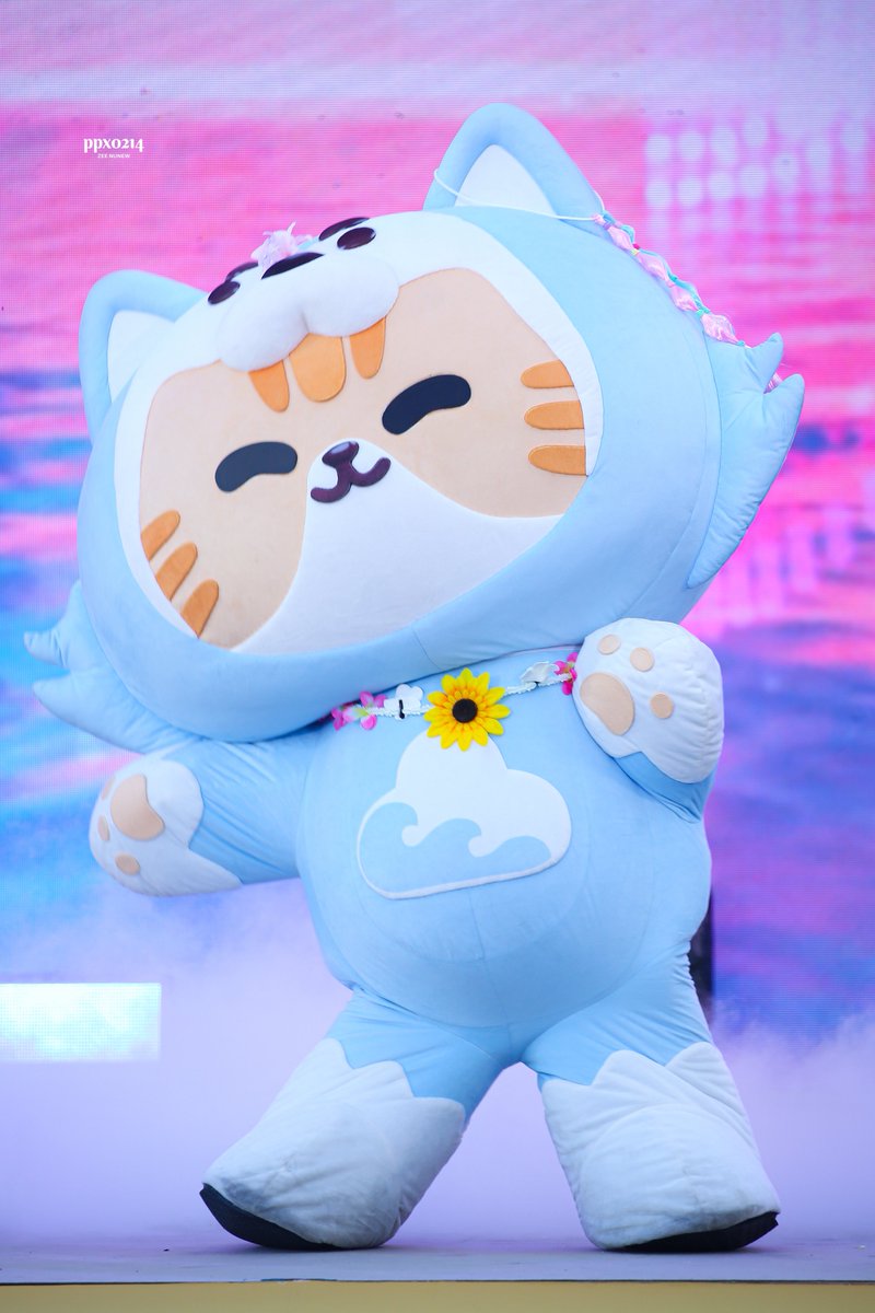 B A M 🍀 tweet media