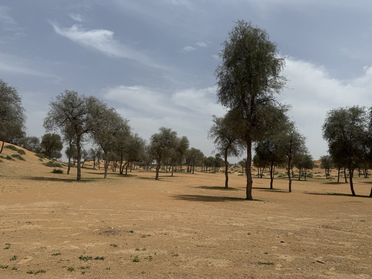 Icecream.tez 🍨🍦 tweet media