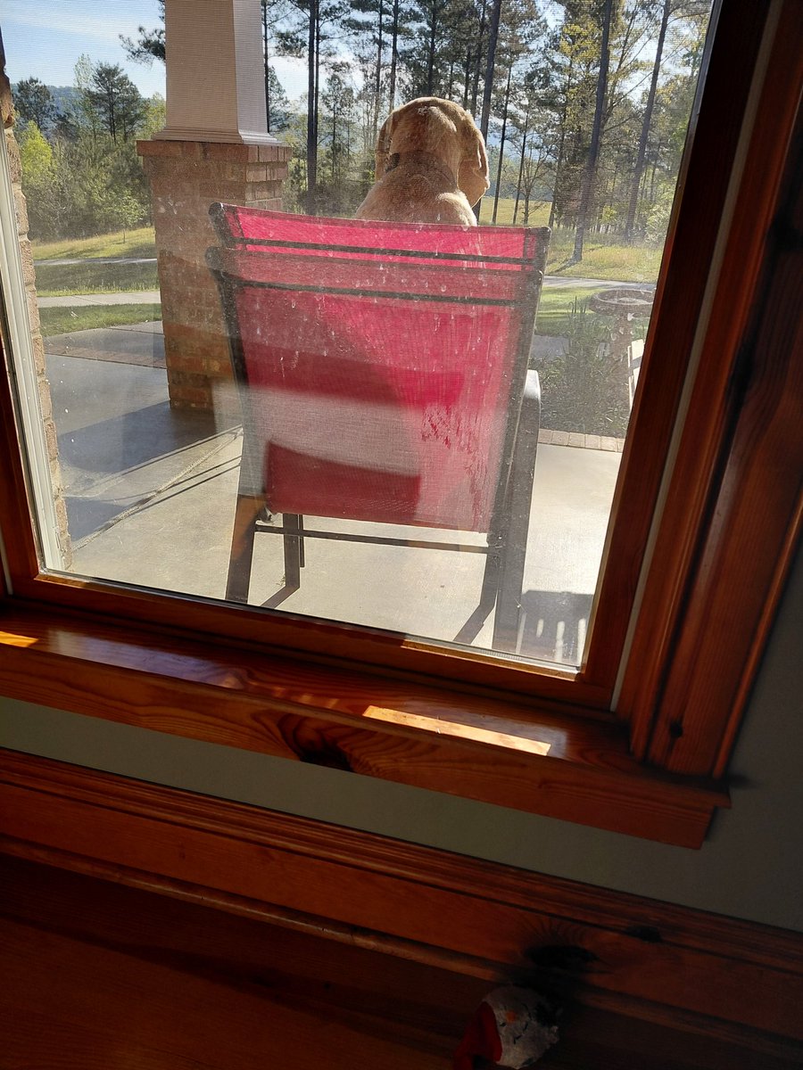 Mary Grabar tweet media