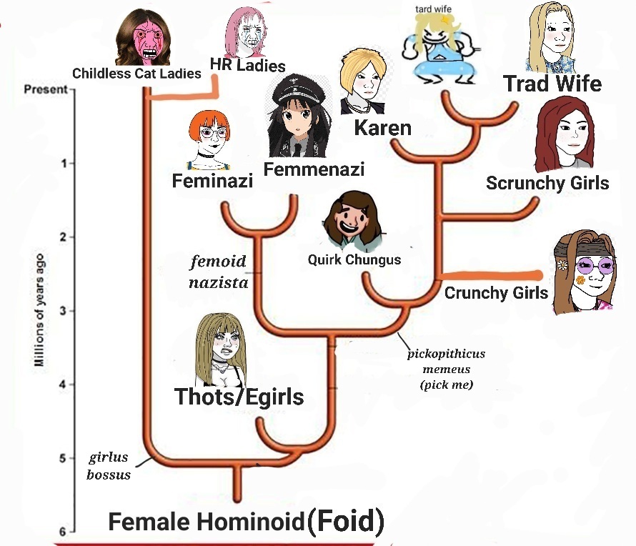 Mitochondrial Eve tweet media