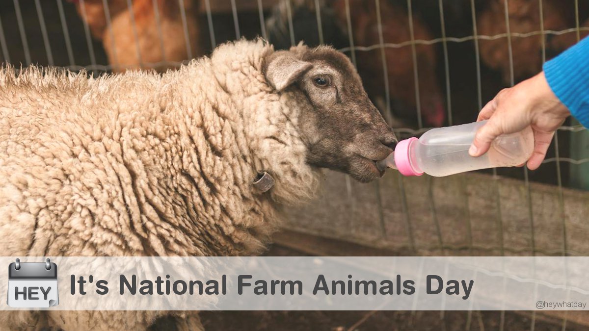 HeyWhatDay tweet media