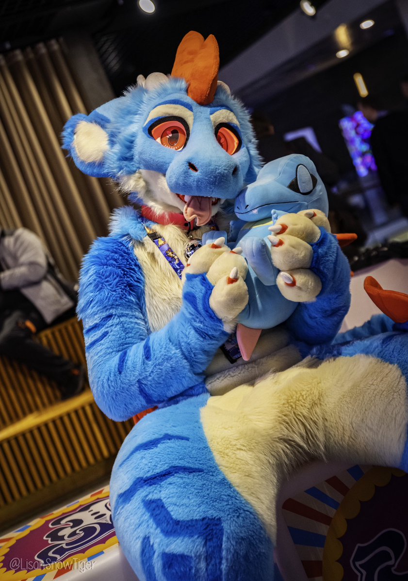 Just making sure that my lil boy Totodile is comfy by my side 🩵
#FursuitFriday 

🪡Fursuit maker.: <a href="/StuffedTailsFur/">StuffedTailsFursuits |STF|</a> 
📸Photo by.: <a href="/LisanSnowTiger/">Lisan</a>