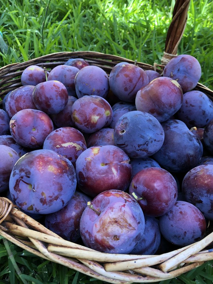 Think & Guess tweet media