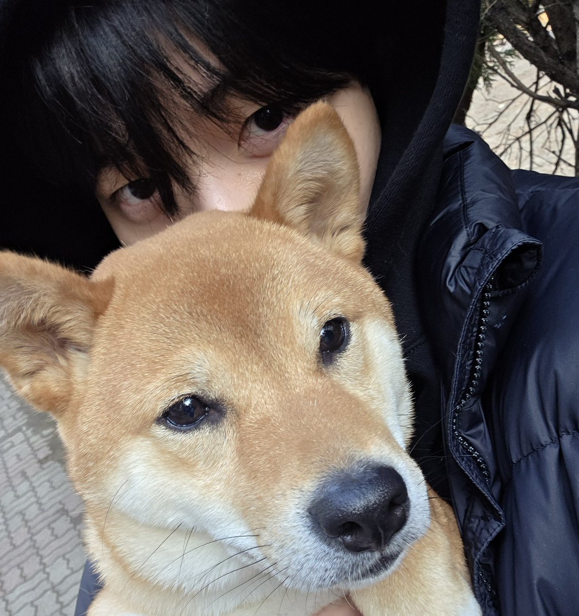 ⋆˚Ი𐑼݁⋆ tweet media