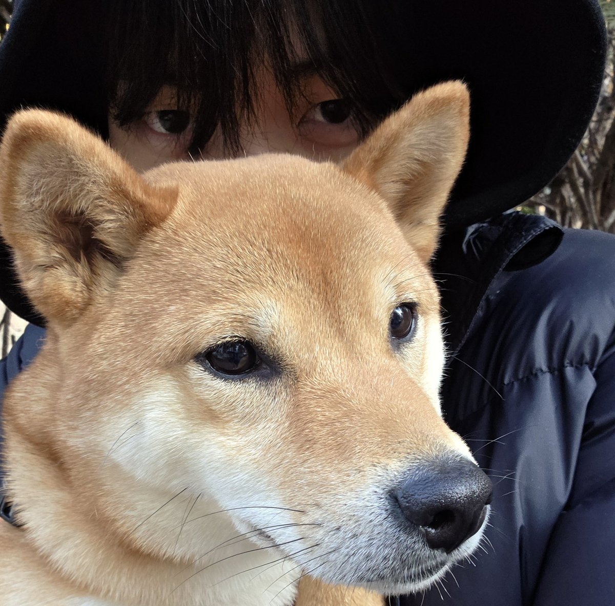 ⋆˚Ი𐑼݁⋆ tweet media