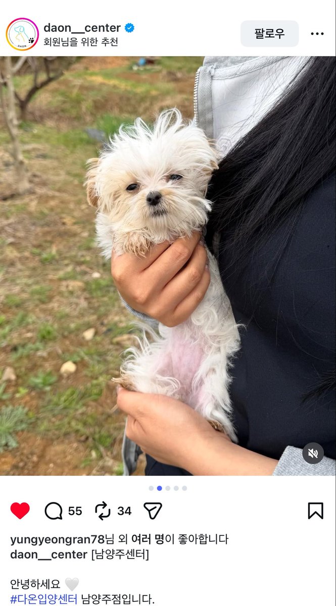 두루덕 tweet media