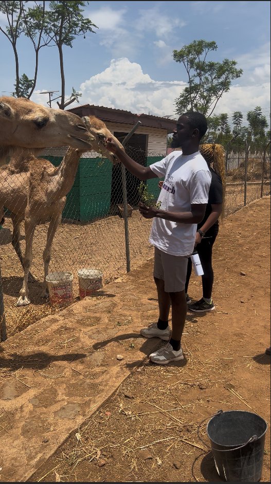 tcbndere's tweet photo. 🌿 Petit #Throwback : après le brunch et la rando, on a visité le zoo de Ngaoundéré.
Une superbe aventure collective ! 💪
#TechiesConnect #TBT https://t.co/yzVWFpih0U