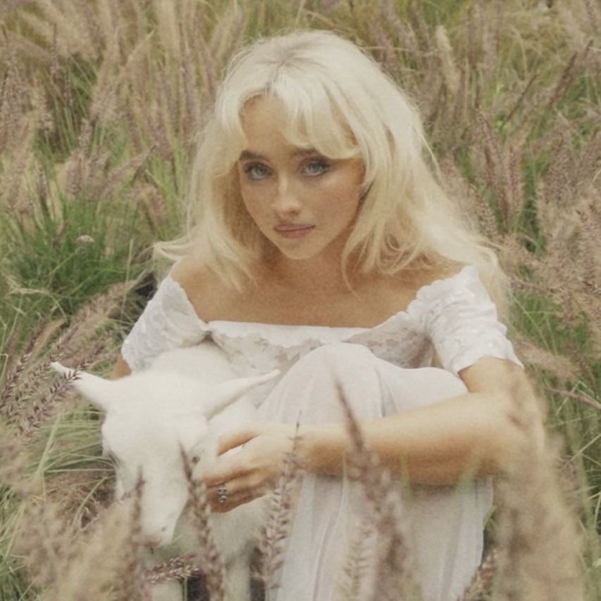 siena victoria 𐙚 ̊ ⋆. tweet media