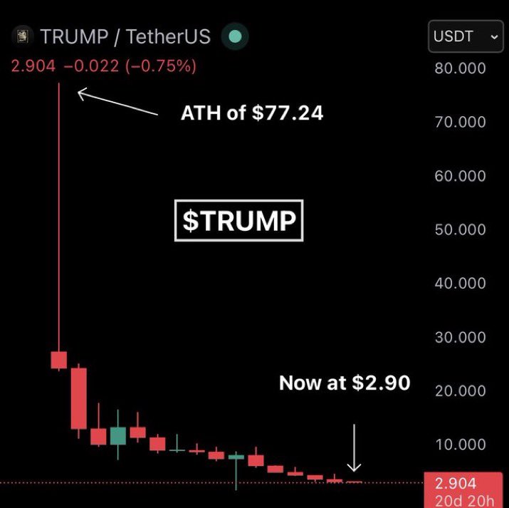 sarah milady tweet media