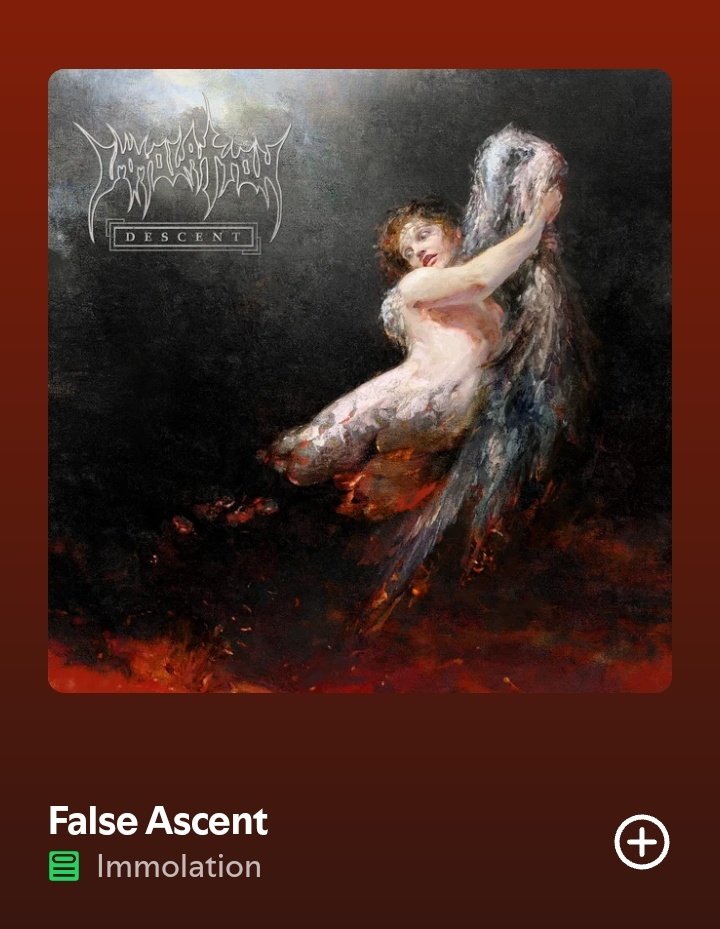 Lua Necrofagista tweet media