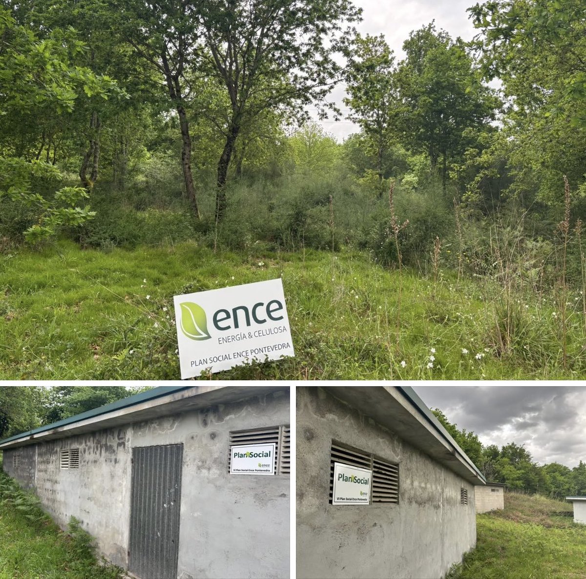 supremo favorable tweet media