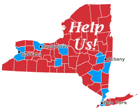 patriotmolenys tweet media