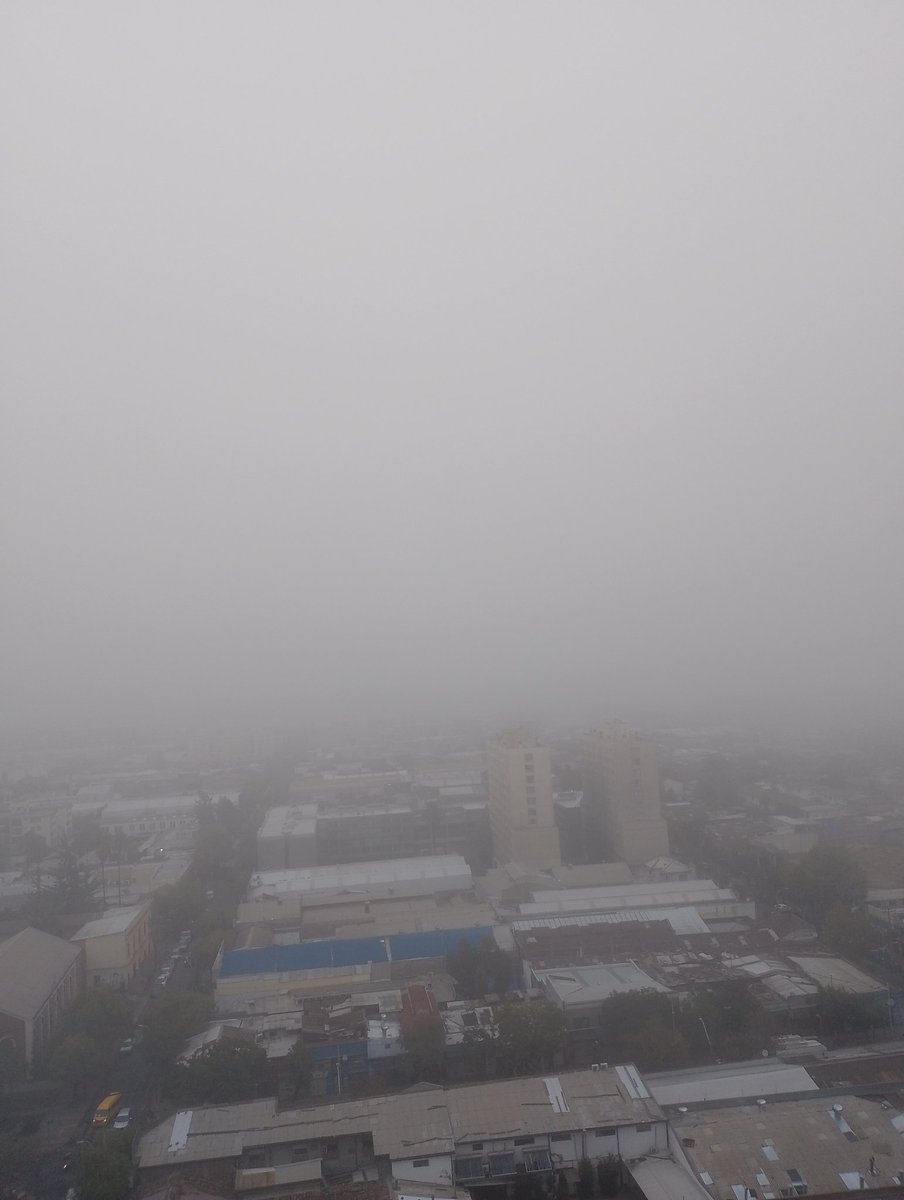 Sonia Strocchia tweet media