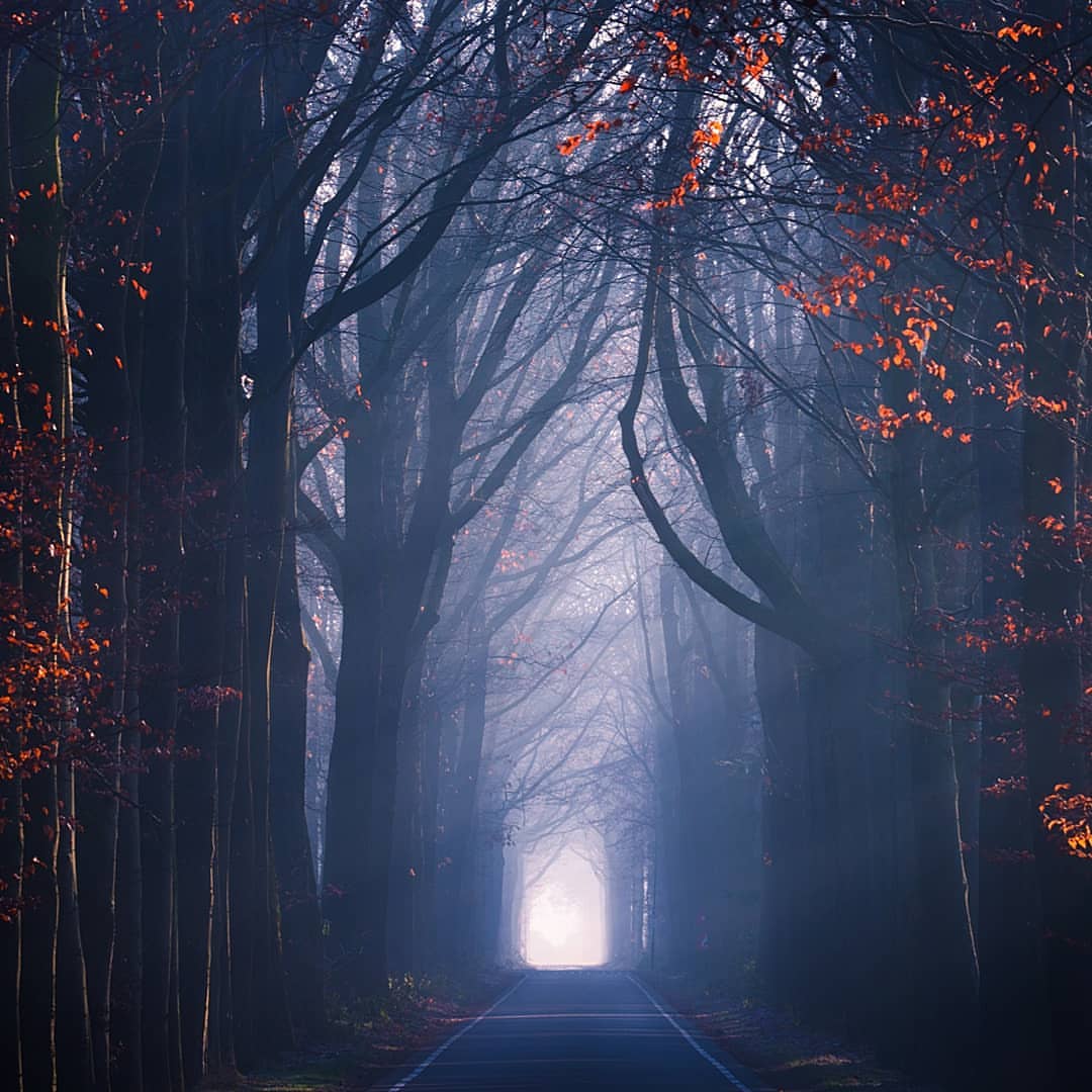 Moonlit path glows, there and garden-ahead.