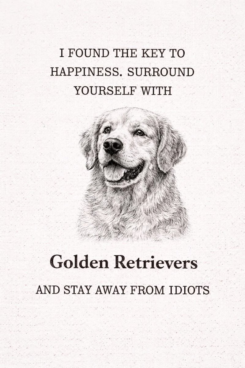 JustABasicBecky's tweet image. 💛 #Boo