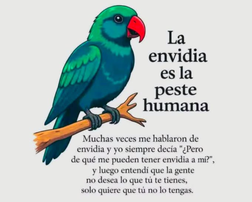 FUERZA OCULTA tweet media