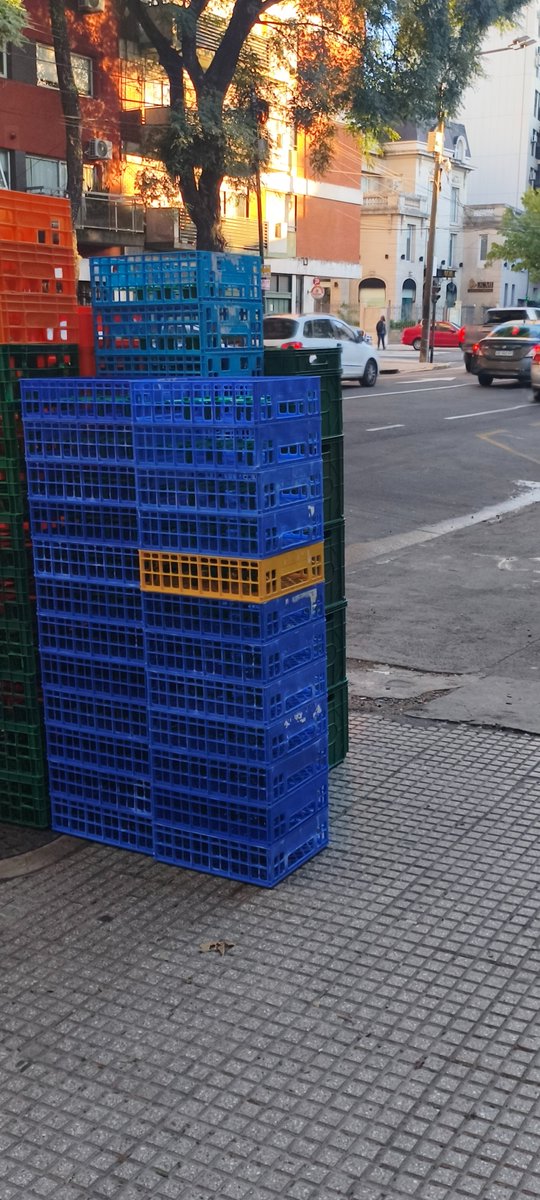 Damian Allende 🇦🇷⭐️⭐️⭐️ tweet media