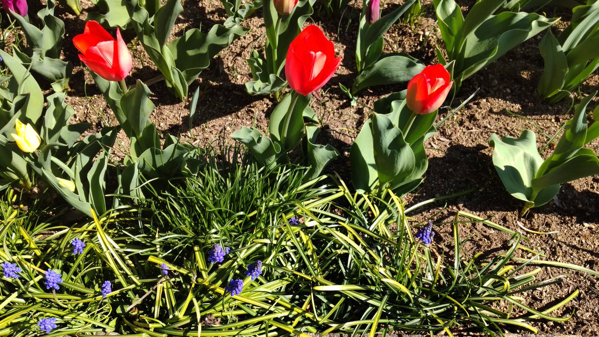 PEPE-PIPI tweet media