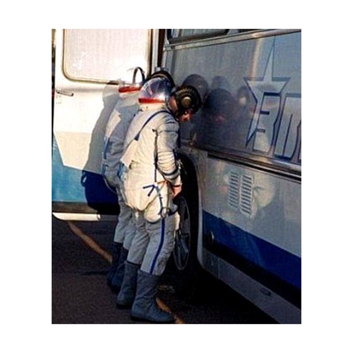 雑学をまとめる犬 tweet media