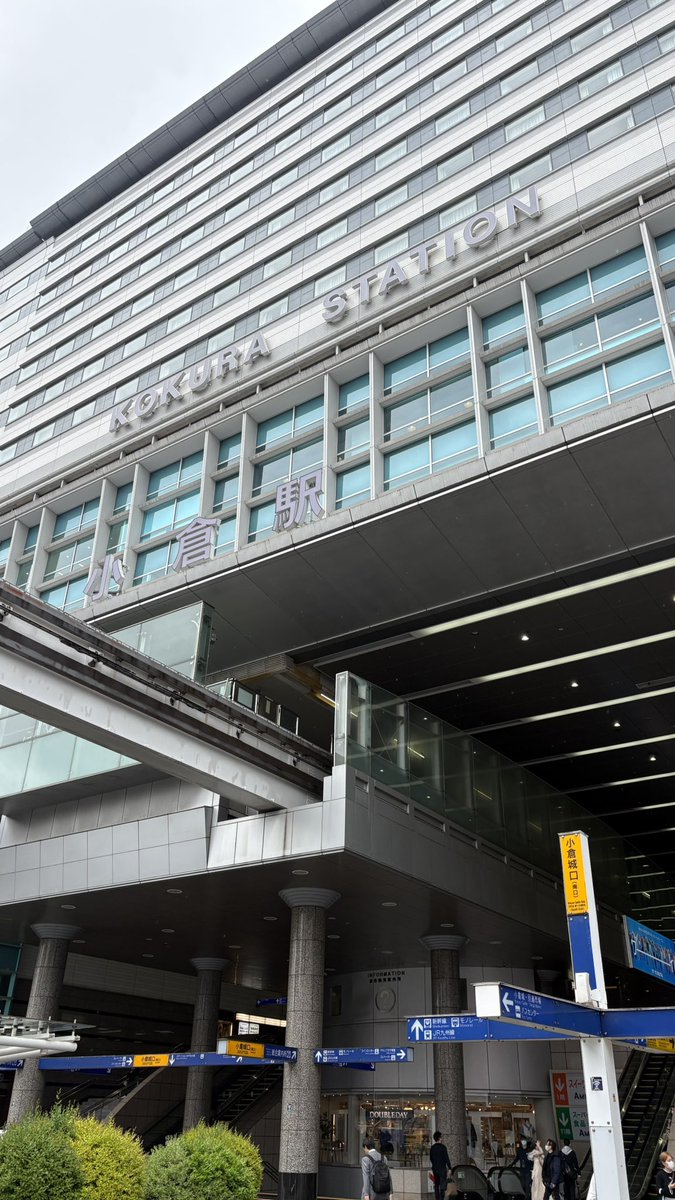 年間600杯ラーメン女子　森本聡子 tweet media