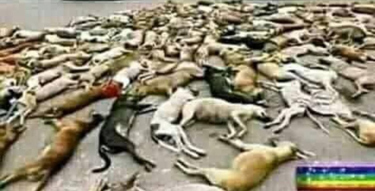 Exitliquidity tweet media