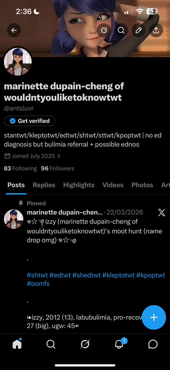 marinette dupain-cheng of wouldntyouliketoknowtwt tweet media