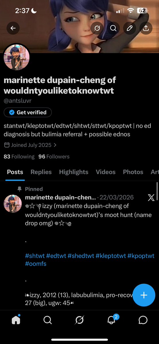 marinette dupain-cheng of wouldntyouliketoknowtwt tweet media