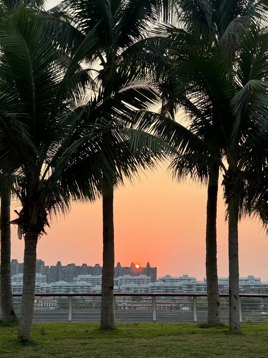 konkordpolygraf tweet media