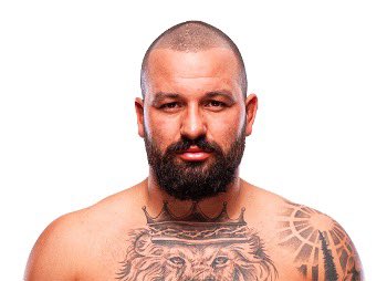 Blind Bear 🐻🕶️ tweet media