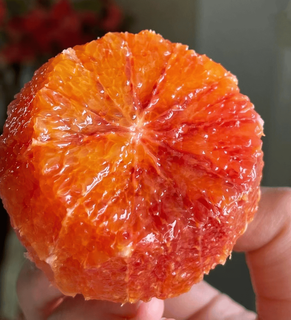 Mldevalle tweet media