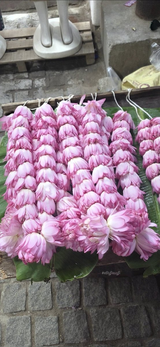 ஆனந்தி tweet media