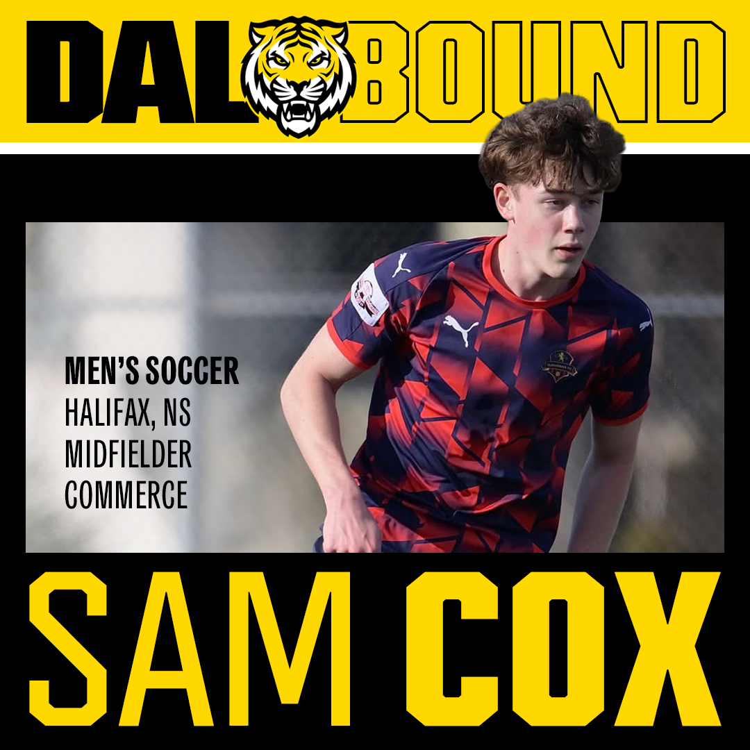 Dal Tigers tweet media