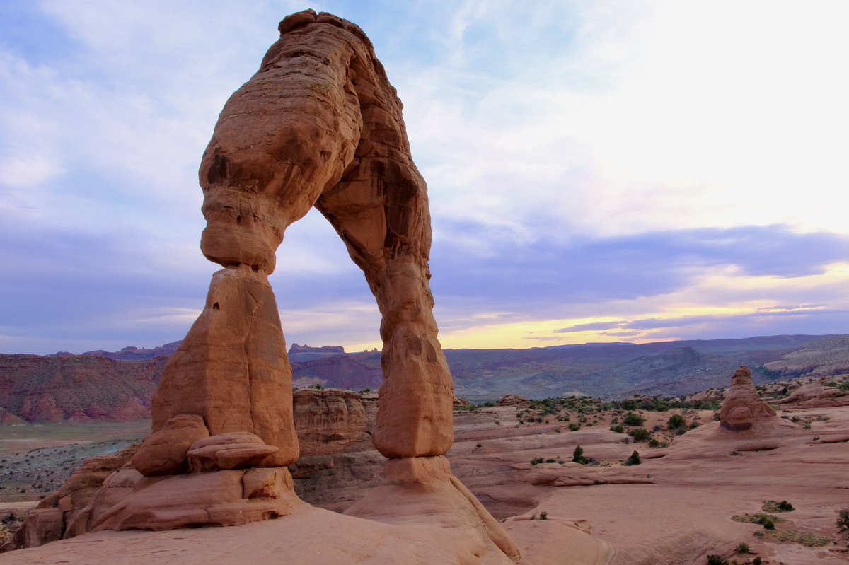 Syed Z. Ali tweet media