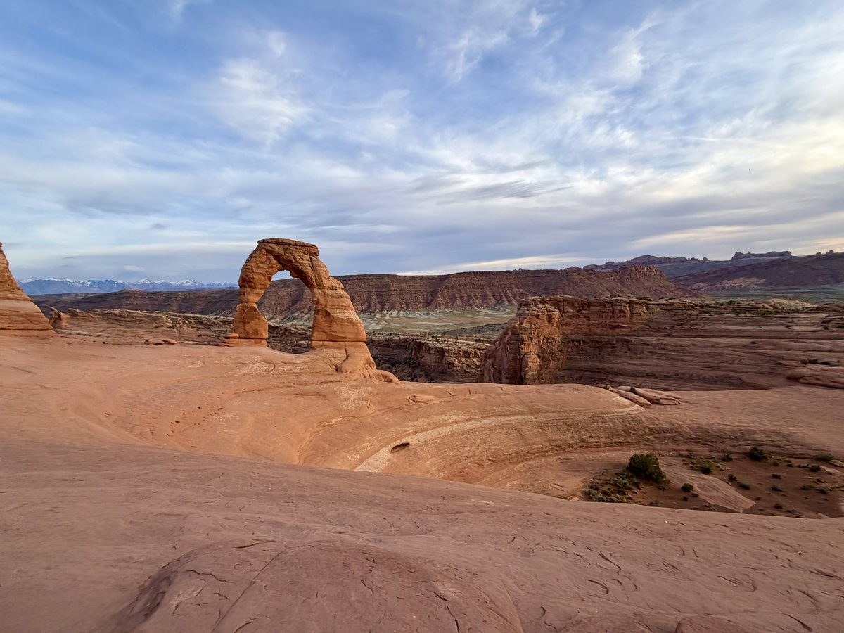 Syed Z. Ali tweet media