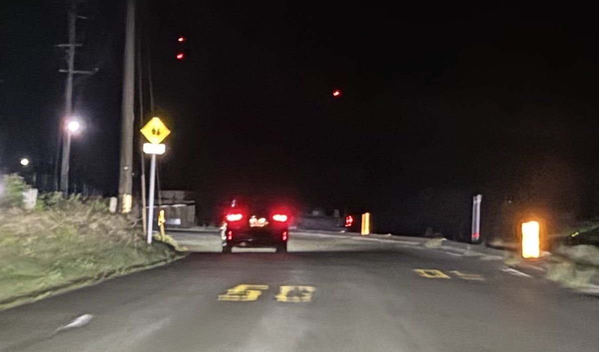 シンヨ / Shinyo tweet media