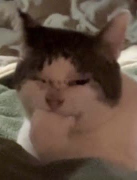 来栖のあ 【 あたぱち! 】 tweet media