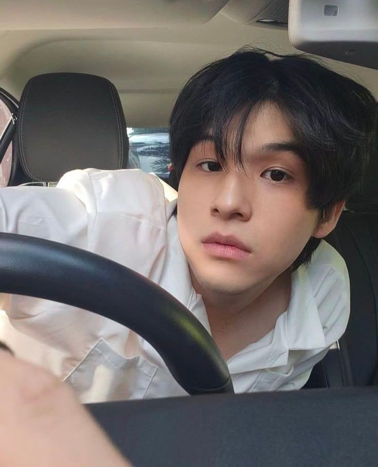 Woodsy Corner. tweet media