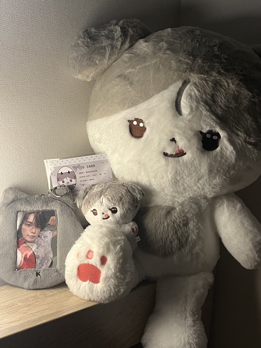 𝙕𝙐𝙆𝘼 tweet media