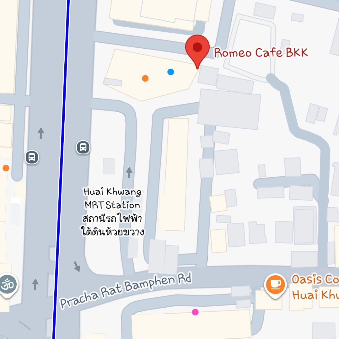 🐈‍⬛🌟 tweet media