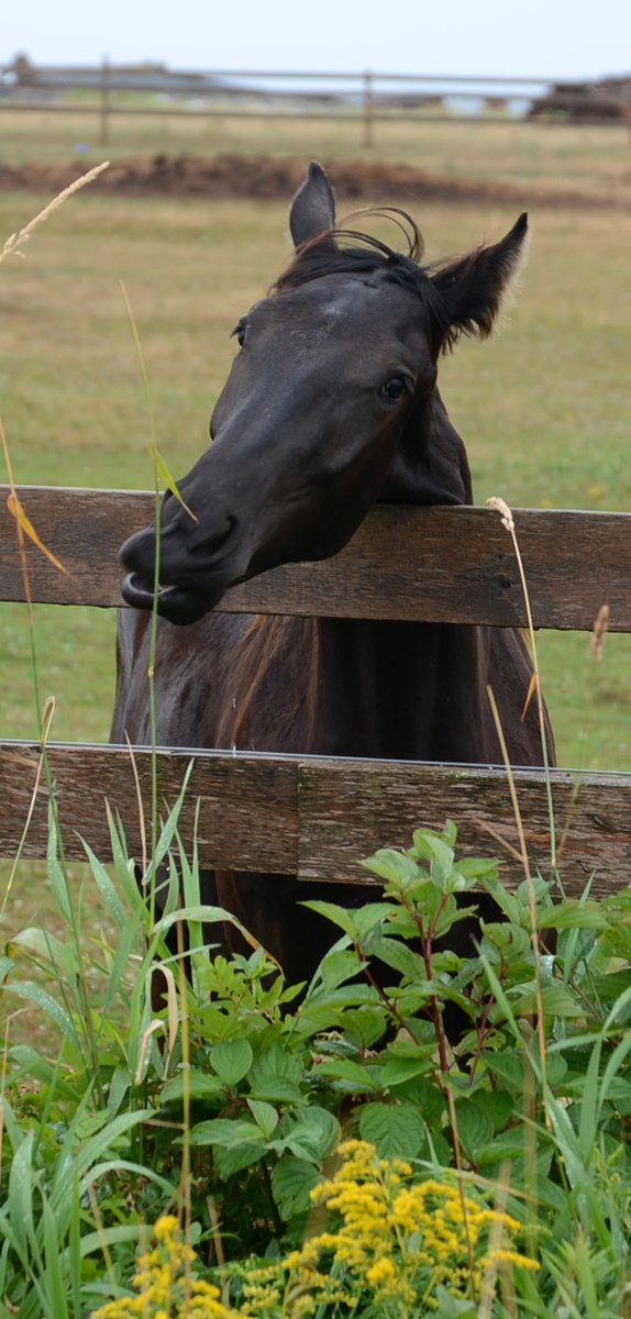 Lynne 🍁❤️ tweet media