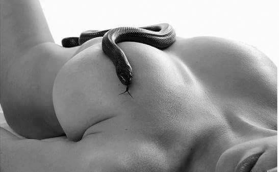 eglantine tweet media