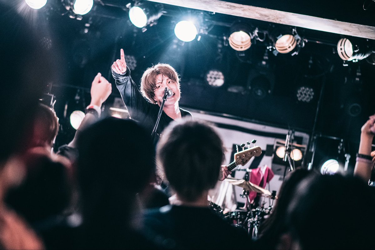 VOI SQUARE CAT tweet media