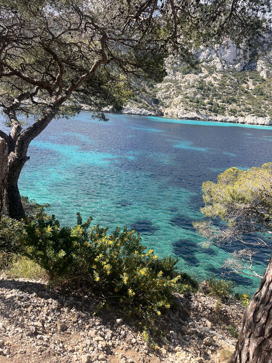 3ugo 🇵🇸 tweet media