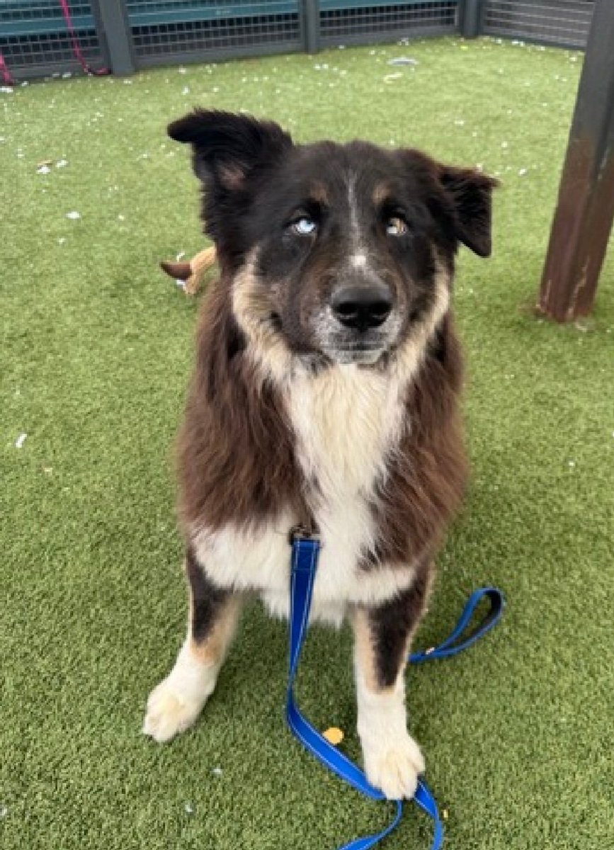 Julie🌻🐾 tweet media